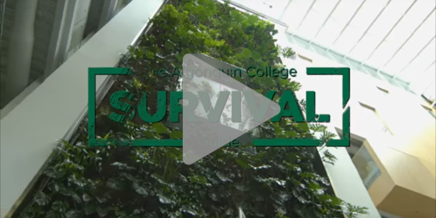 Algonquin College Survival Guide [VIDEO]