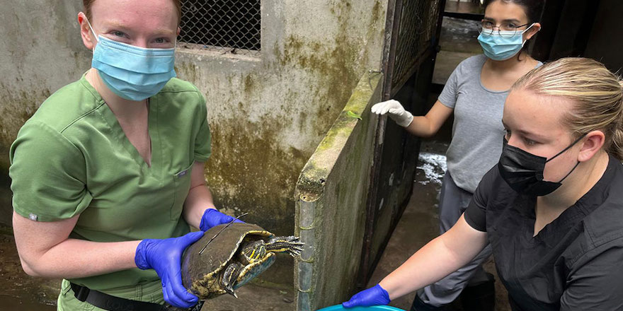  NAIT’s Veterinary Technology Students Care for Crocodiles, Monkeys, and More in Guatemala 