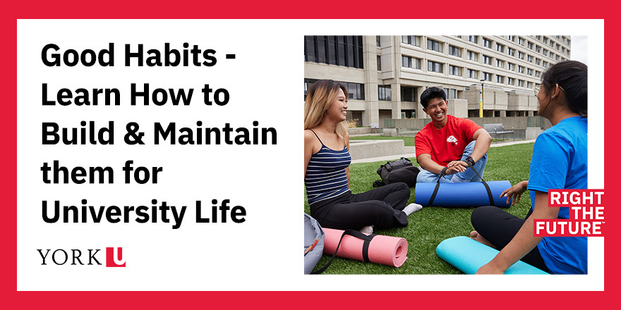 Building and Maintaining Good Habits for University Life